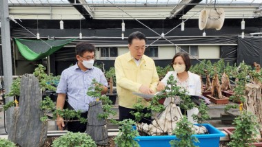 구복규 화순군수가 지난달 30일 남산공원과 화순군농업기술센터 작물육묘장을 찾아 국화향연 준비 사항을 점검했다. 사진은 화순군농업기술센터 작물육묘장 방문 모습