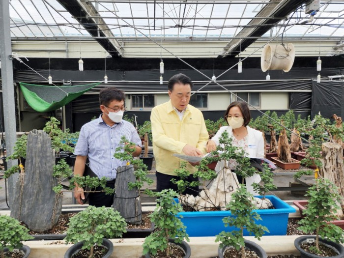 구복규 화순군수가 지난달 30일 남산공원과 화순군농업기술센터 작물육묘장을 찾아 국화향연 준비 사항을 점검했다. 사진은 화순군농업기술센터 작물육묘장 방문 모습