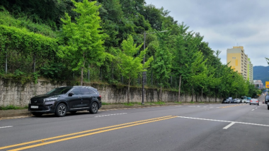 화순군이 공공서비스 디자인 공모사업에 선정돼 화순읍 일심리 일대에서 안심길 조성 사업을 추진하게 됐다. 사진은 알뫼산 옹벽으로 이곳에 디자인 조명을 설치할 예정이다
