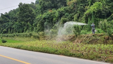 화순군이 병해충 방제를 위한 현장 예찰 중 미국선녀벌레와 진딧물을 발견, 긴급 방제에 나섰다. 사진은 무궁화 방제작업 실시 모습